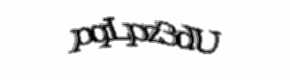Security check image, please type the characters shown
